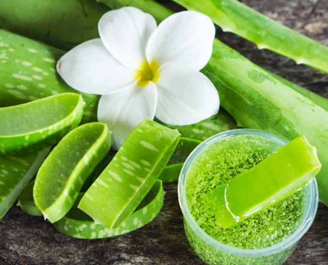 aloe vera for damage hair inside