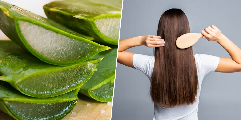 Easy Ways To Use Aloe Vera For Quick Hair Growth | HerZindagi