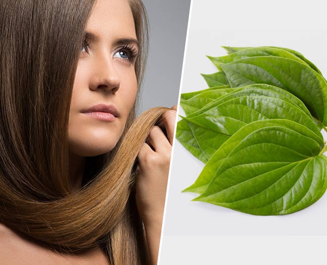 How To Use Paan Or Betel Leaves For Quick Hair Growth | HerZindagi