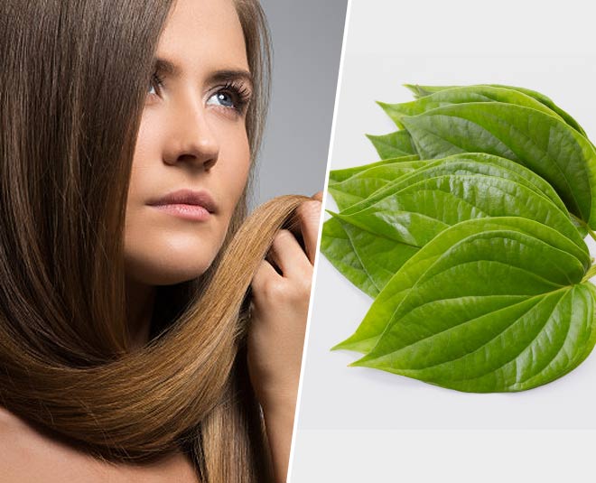 how-to-use-paan-or-betel-leaves-for-quick-hair-growth-herzindagi