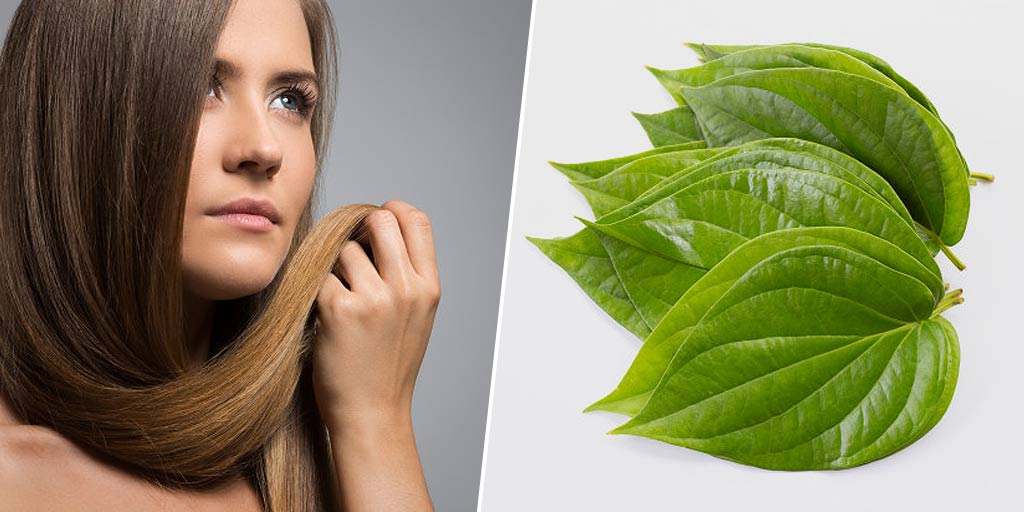 How To Use Paan Or Betel Leaves For Quick Hair Growth | HerZindagi