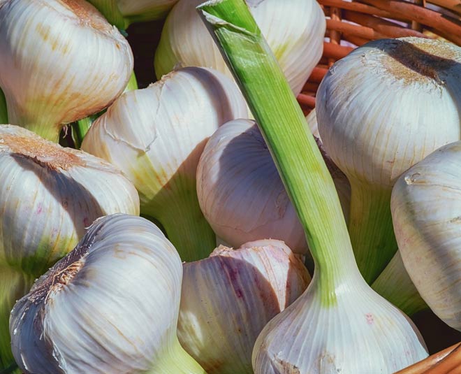 does refrigerating garlic make it last longer