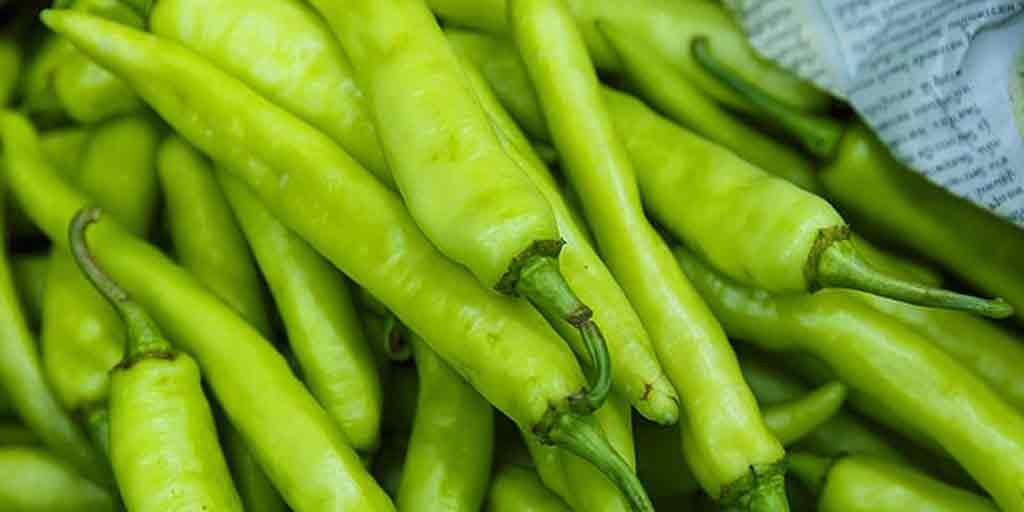 green-chilli-benefits-10-surprising-health-benefits-of-green-chilli