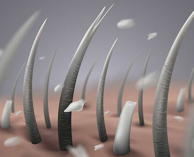 hair fall and anti dandruff shampoo