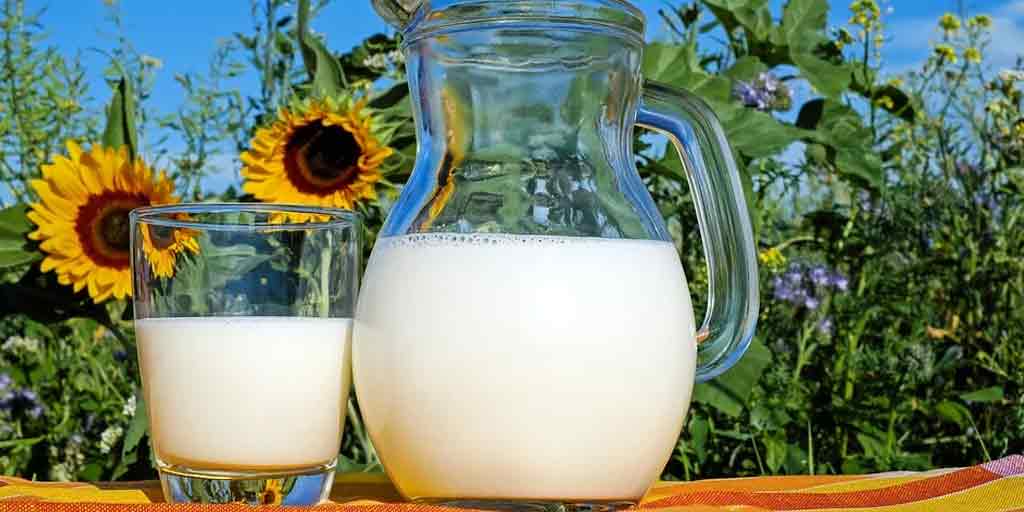 Health Benefits Of Different Milk Varieties