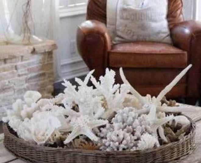 sea shell in decor home monsoon inside