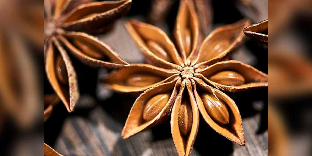 Amazing Benefits Of Adding Star Anise To Your Diet Here Are Some