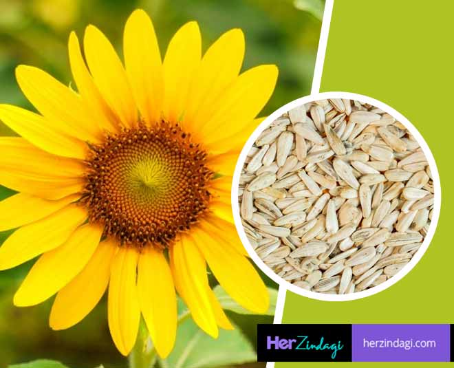 Diet for Healthy Skin: ग्लोइंग और खूबसूरत त्वचा पाने के लिए Sunflower seeds को अपने आहार में इस तरह करें शामिल 