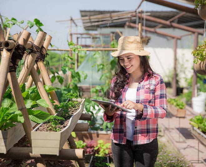 tips for rooftop garden or terrace garden inside 