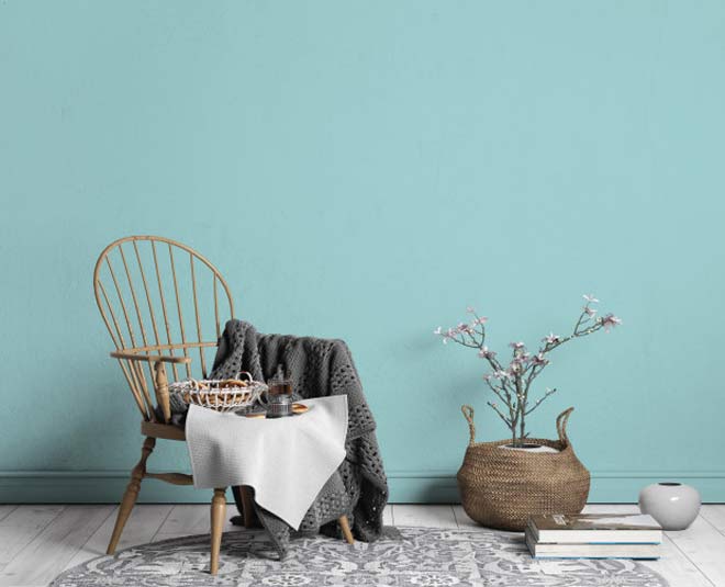 Vastu Tips Avoid These 5 Decorative Items In Your House avoid these