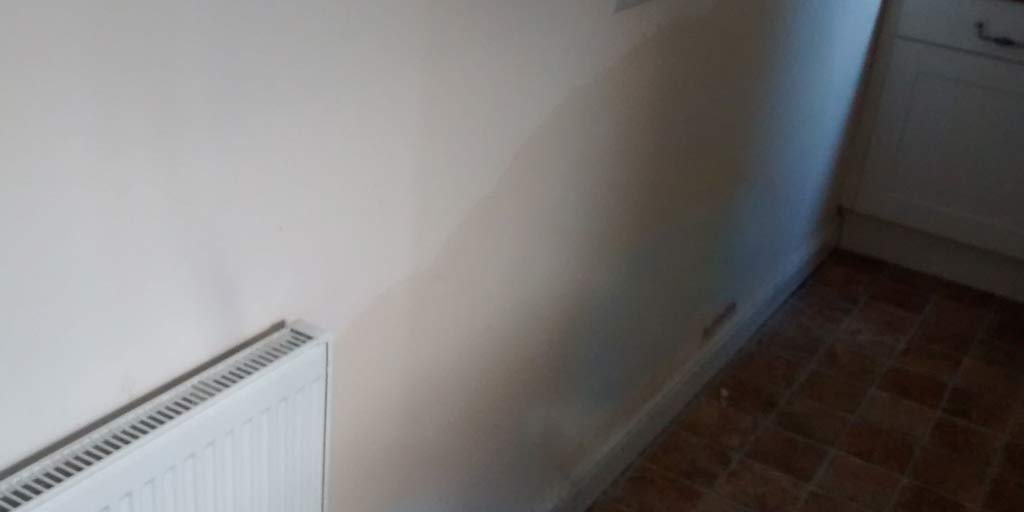 Here's How To Remove Moisture From Damp Walls -Struggling With Damp