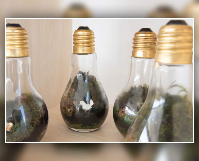 decorate your home by using bottles and bulbs inside 