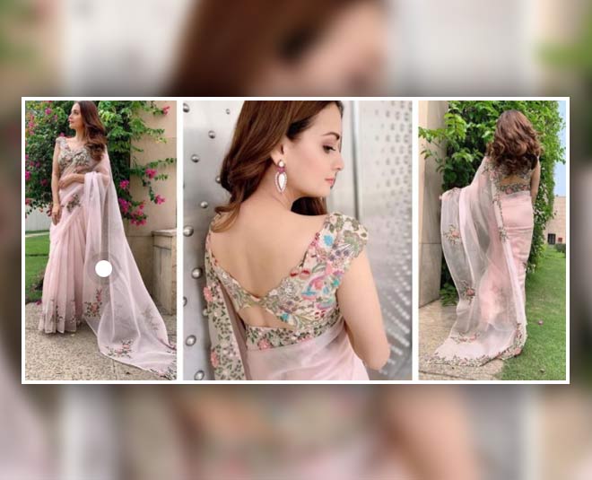 dia mirza stylish pastel shade saree