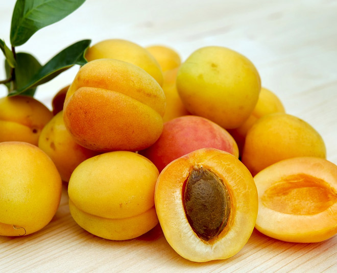 health-benefits-of-apricot-seeds-or-kernels-in-2020-apricot-seeds