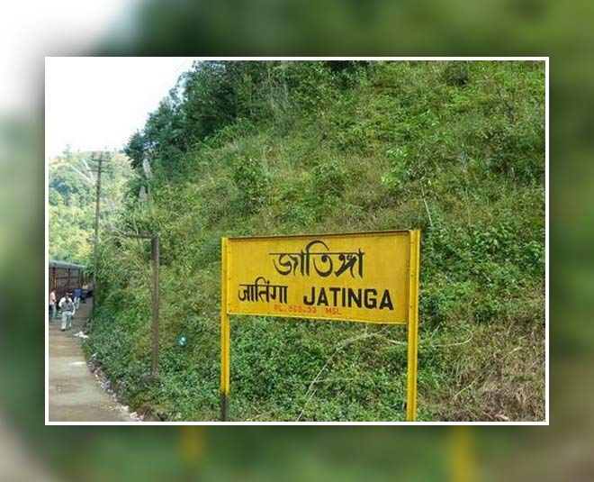 jatinga village assam