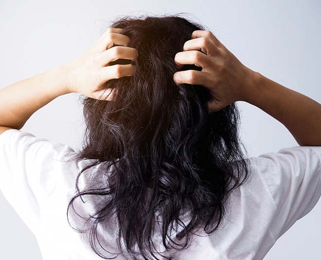 need a haircut inside 