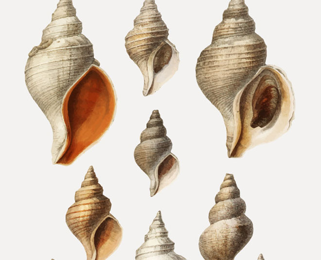 signs of negative energy in house