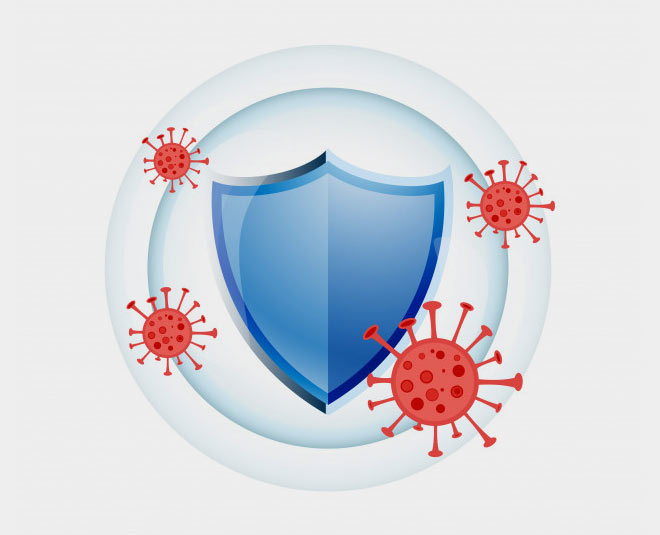 stevia benefits immune system inside 