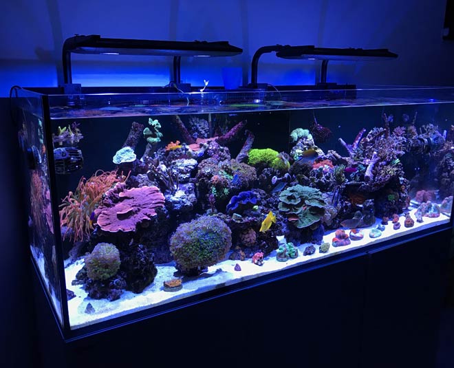 why take care of aquarium inside 