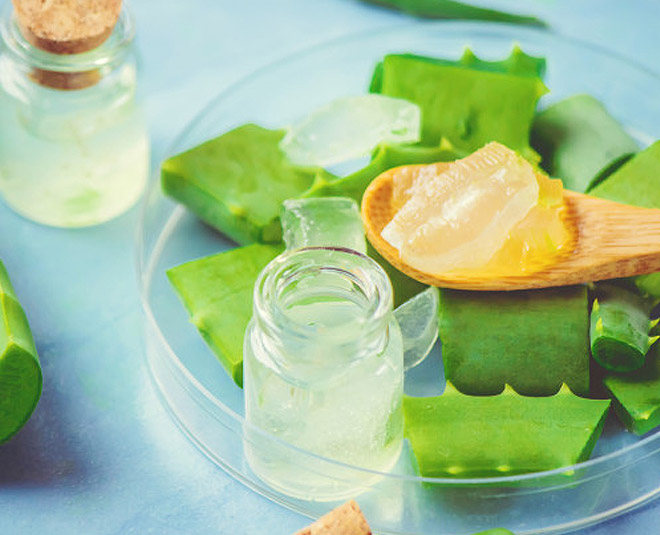 aloe vera for acne scars pic