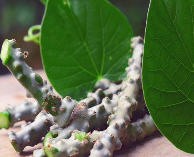 coronavirus health inside 