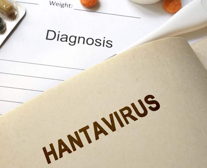 hantavirus inside 