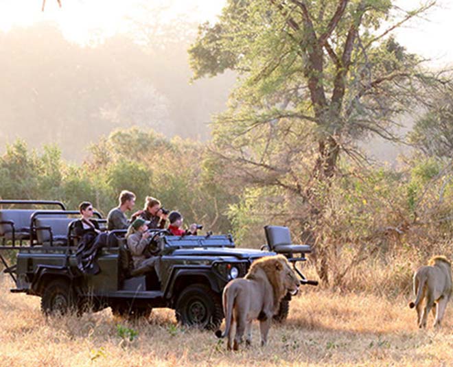 kruger national park africa