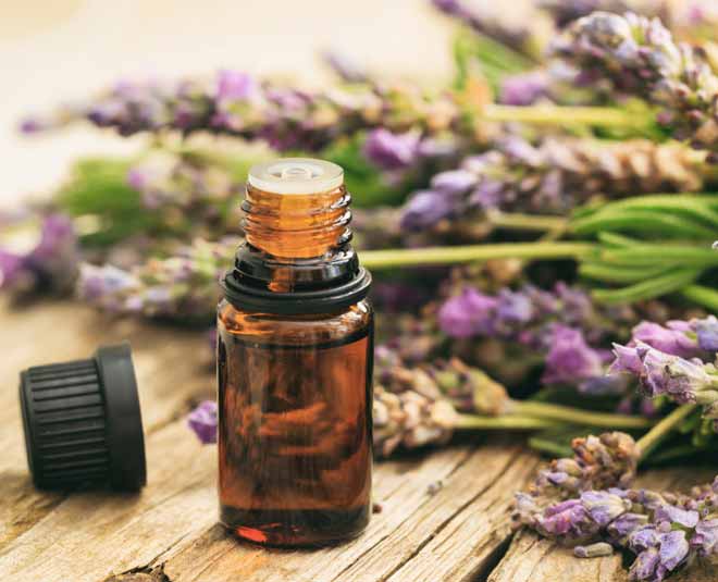 lavander essential oils