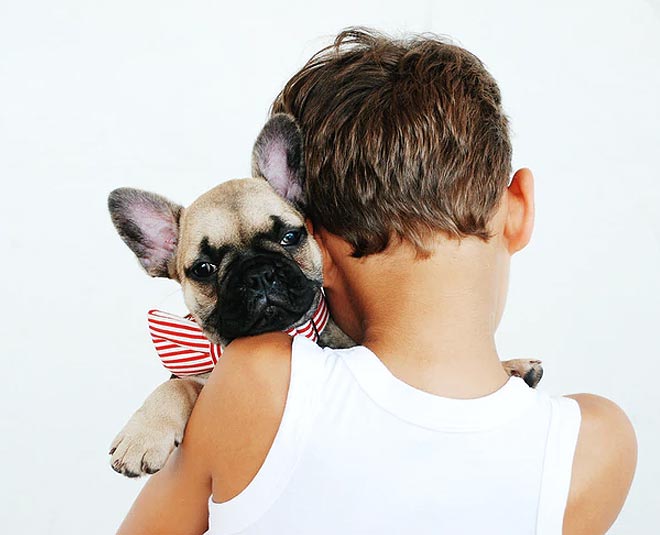 pets are good for home