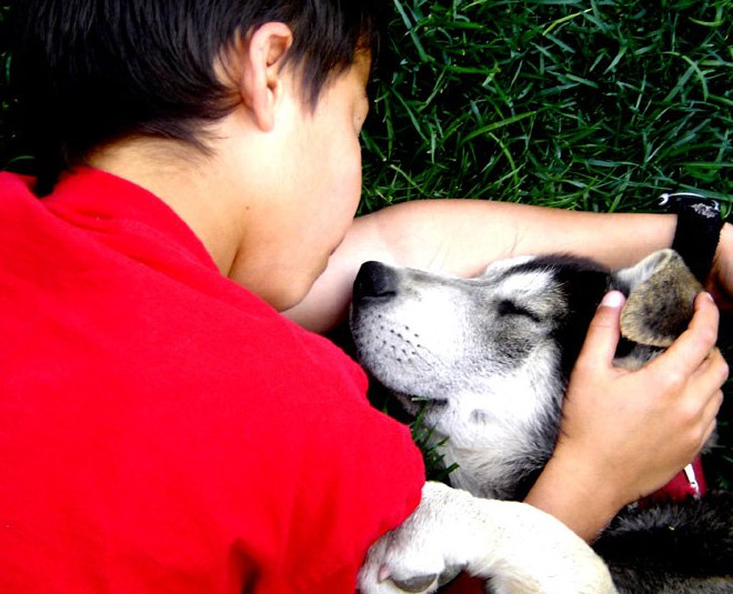 pets are stress buster