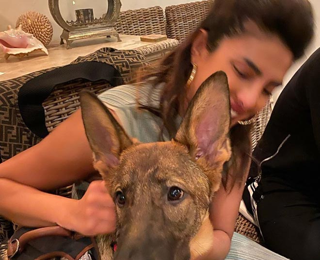 प्रियंका चोपड़ा priyanka chopra instagram inside