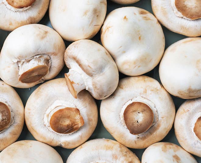 Prevents Dehydration