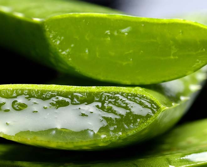 Sonakshi Sinha Swears By Aloe Vera Here Is How You Can Use It For Skin And Hair Herzindagi