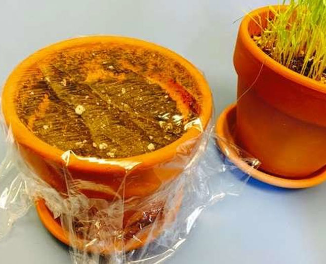 amazing uses of plastic wrap inside 