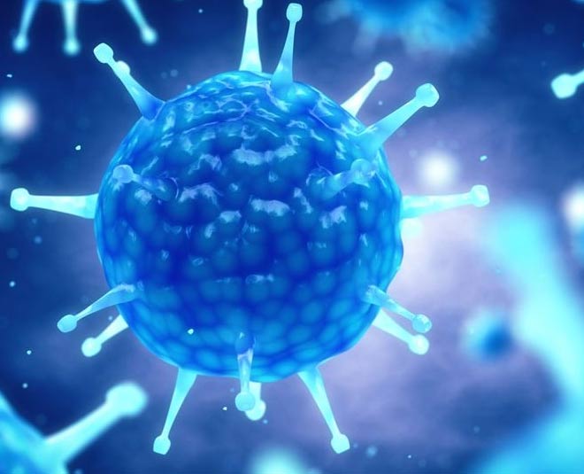 coronavirus numerology inside 