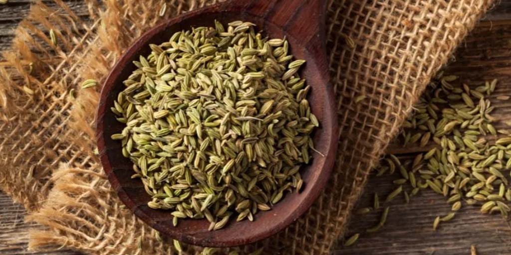 Fennel Seeds Beauty Benefits: Here's Why These Seeds Are Good For Your Skin  & Hair | HerZindagi