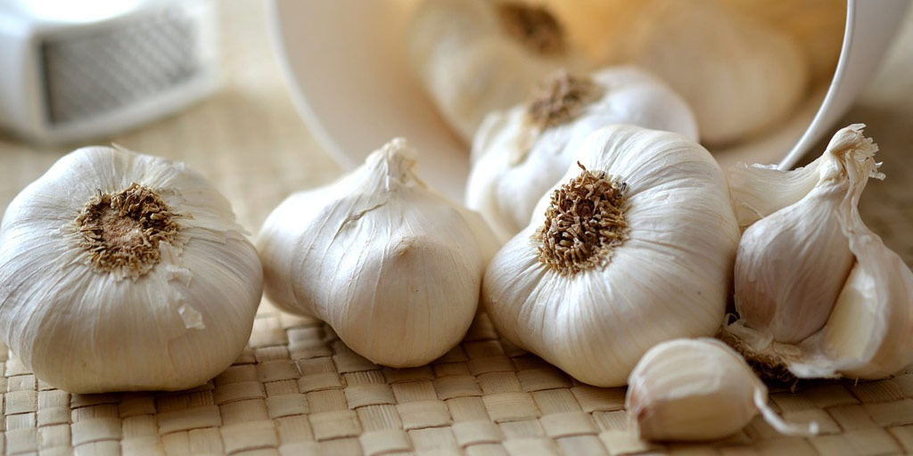 Have High Blood Pressure Or Hypertension? Consume Garlic The Right Way With  This Guide By Expert-Have High Blood Pressure Or Hypertension? Consume  Garlic The Right Way With This Guide By Expert