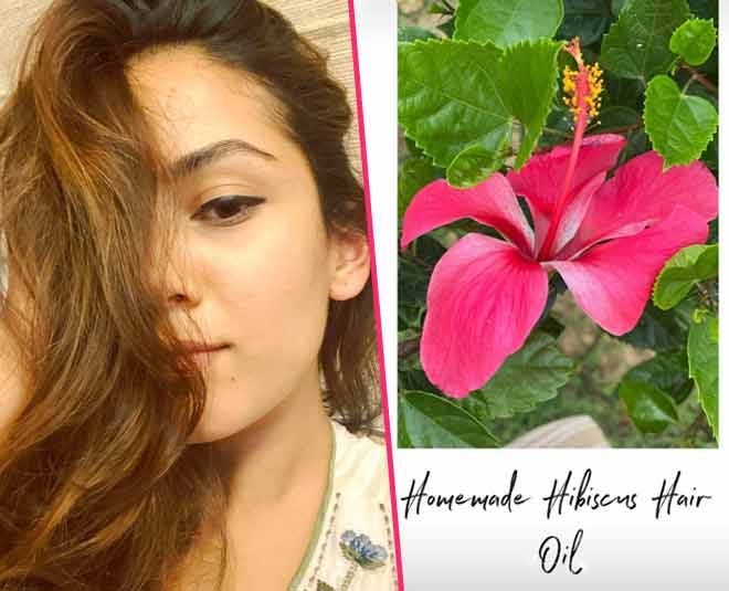 Benefits Of Hibiscus Hair Oil For Hair Growth