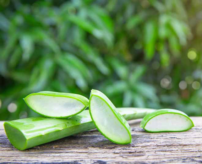 ingredients good for skin hair aloe vera
