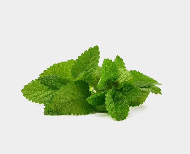 mint leaves buttermilk