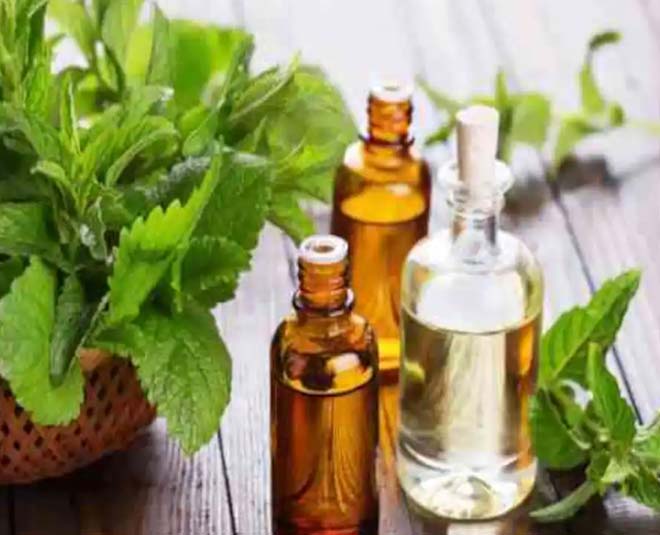 peppermint oil for rats in cars