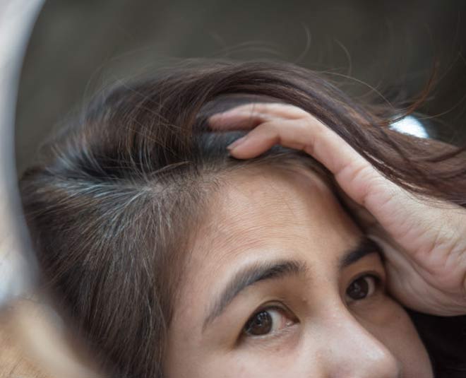 shahnaz husain hair care hindi