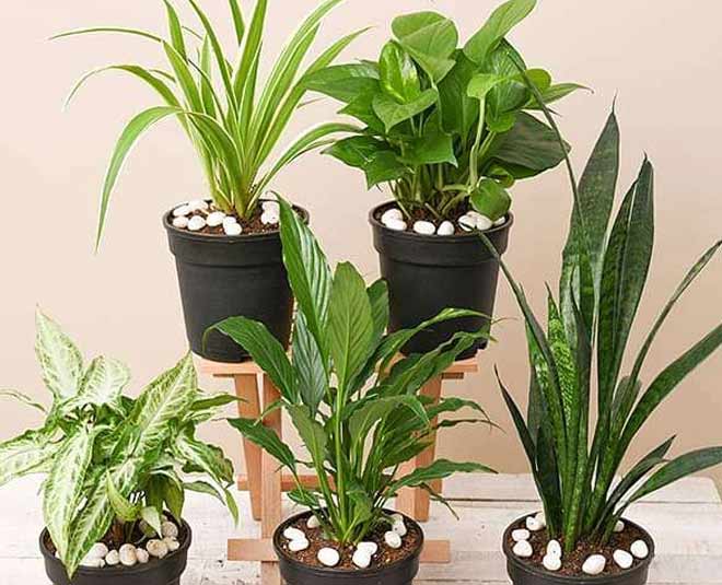 air quality durning changing session inside 