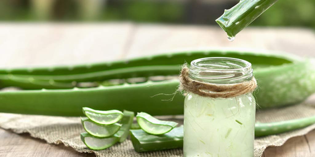 Expert Tips 3 Ways to Use Aloe Vera for Weight Loss 3 ways to use