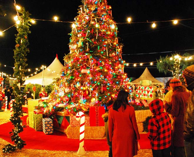 best places to celebrate christmas in india inside 
