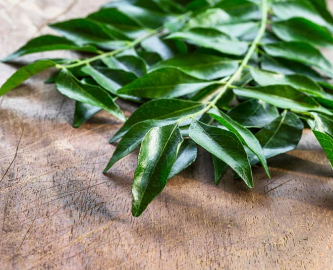 curry leaves hair mask