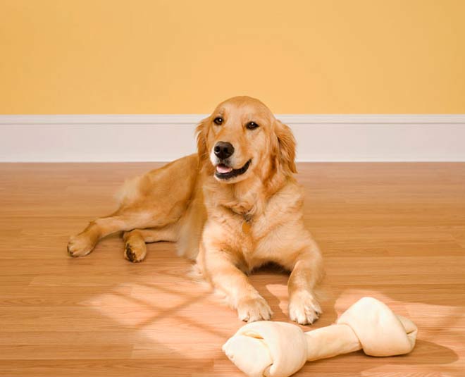 damage your wooden floor inside 
