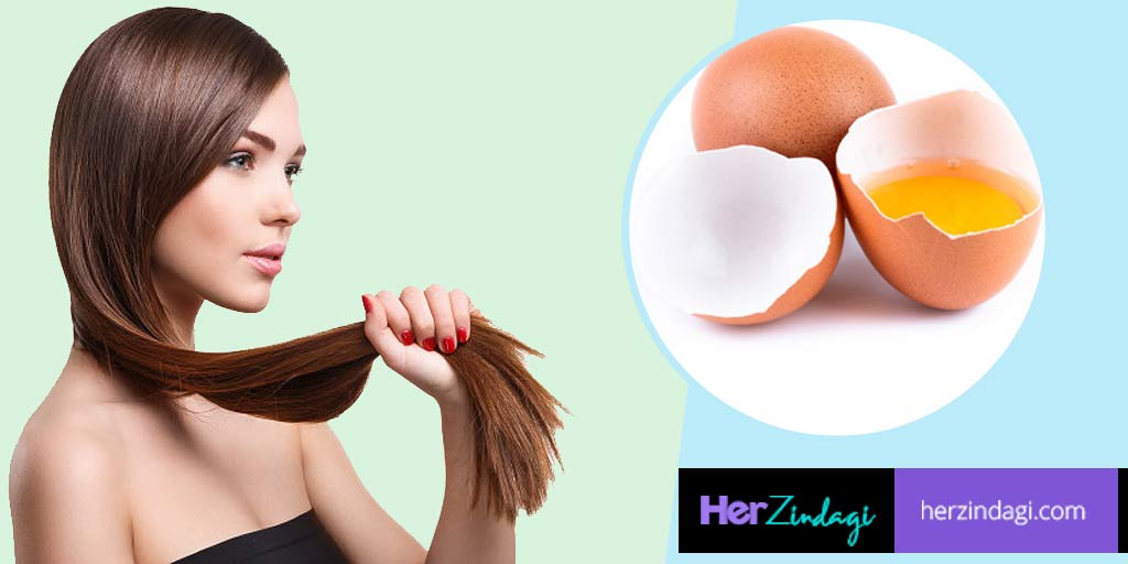 Egg Hair Treatments for Faster Hair Growth | egg hair treatments for faster hair  growth | HerZindagi