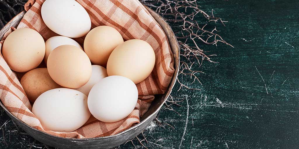 Know Egg White Or Egg Yolk Which One Is Healthier In Hindi