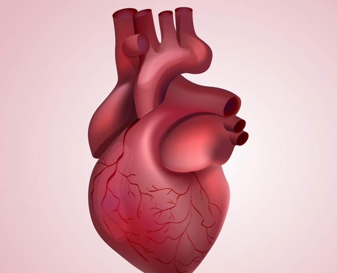 heart health galgal inside 